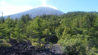 IMG_20160717_085355.jpg