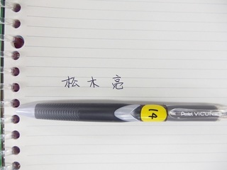 pentel_vicuna.jpg