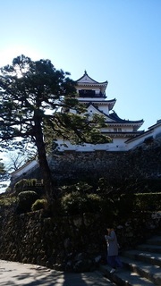 IMG_20200201_110256.jpg